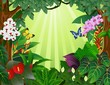 Tropical Forest Tropical Forest