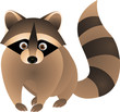 Raccoon Cartoon