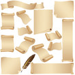 Vintage parchment, scroll vector set on white.