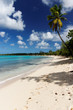Paradis