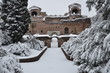 white rome