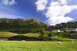 mountain green landscape mountain green landscape