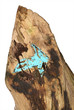 Foto: Wooden Carved Directional Post Isolated Wooden Carved Directional Post Isolated