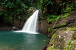 Fontaine tropicale