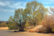 abgelassener Fischteich im Frühling abgelassener Fischteich im Frühling