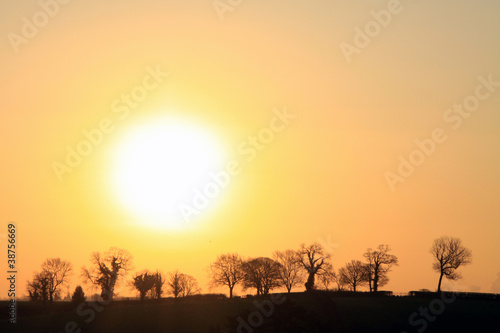 Photo: Sunrise - trees Sunrise - trees