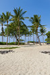 Resort Beach in Hawaii