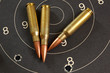 308 WIN