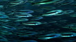 Vídeo: Loop-able fishes background Loop-able fishes background