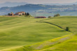 Countryside near Pienza , Tuscany, Italy