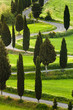 Road, Montepulciano, Tuscany, Italy