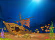 Ocean Underwater World
