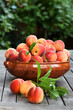 Fresh peaches in a bowl