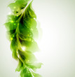green branch with abstract leaves