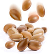 Photo: seeds of argan seeds of argan