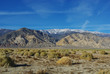 High desert and White Mountains,Inyo National Forest, Nevada