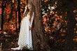 fairy bride in the woods