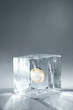 ice cube