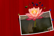 Pink lotus