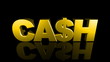 Falling 'CASH' from Sky 3D Drop