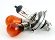 Bulbs