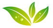 green vector leafs with waterdrops