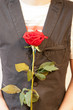 Person haelt rote Rose