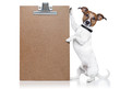 dog with wood banner