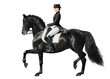 Foto: Dressage - black horse and woman Dressage - black horse and woman