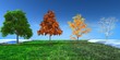 3d concept  Four seasons