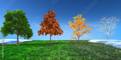 Photo: 3d concept Four seasons 3d concept Four seasons