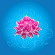 vector lotus flower
