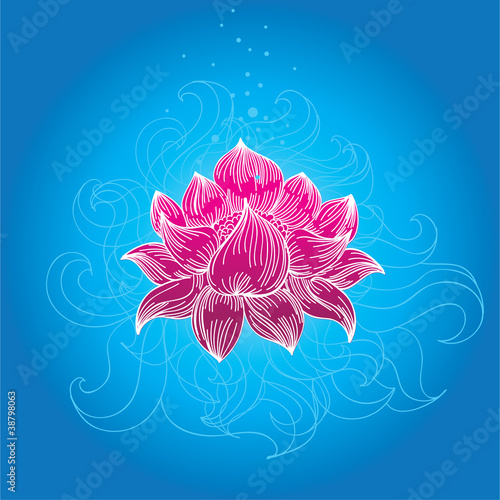 Vector: vector lotus flower vector lotus flower