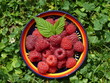 Himbeeren von oben