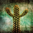 cactus texture