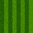 Green grass field. Seamless illustration.