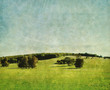 old green landscape photo