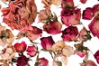 Dry roses background for memories