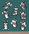 little cute zebra set