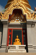 Golden buddha on pagoda .