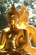Twin golden buddhas .