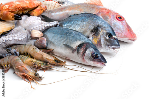 Photo: Fresh catch of fish and other seafood Fresh catch of fish and other seafood