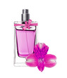 women's perfume in beautiful bottle with pink orchid isolated on