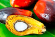oil palm fruits on green leaf oil palm fruits on green leaf
