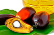 palm fruits and plam olein oil palm fruits and plam olein oil