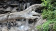 Wasserfall