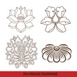 chinese virtual po-phase flowers set: lotus,Paeonia suffruticosa