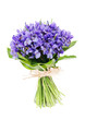 Foto: Bouquet of flowers iris Bouquet of flowers iris