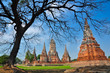 Ruin temple in Ayutthaya historical park