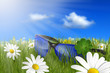 Foto: Brille 6 Brille 6